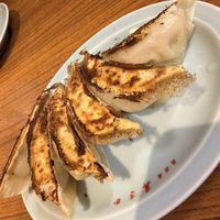Gyoza  at Izakaya Masaka in Tokyo