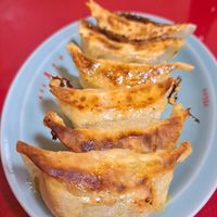 Gyoza (pan-fried dumplings) at Izakaya Masaka in Tokyo