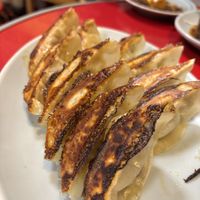 Gyoza  at Izakaya Masaka in Tokyo