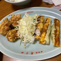 Mix set. Combo consisting pot stickers and fried vegan chicken  at Izakaya Masaka in Tokyo