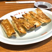 gyoza at Izakaya Masaka in Tokyo
