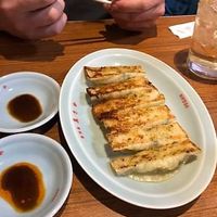 Gyoza at Izakaya Masaka in Tokyo