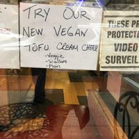 Tofu cream cheese !  at Beyond the Bagel in Montclair