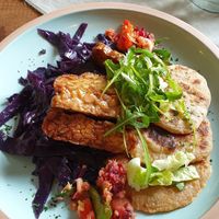 Tempeh main dish at Burina in Liptovsky Mikulas