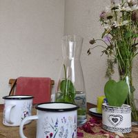 Burina at Burina in Liptovsky Mikulas