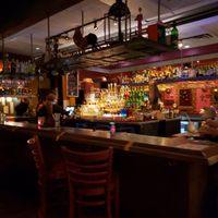 Huge Bar at Casa Tina in Dunedin