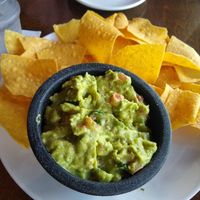  at Casa Tina in Dunedin