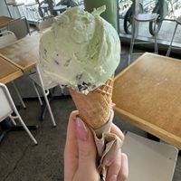   at Shake Bar in Wellington