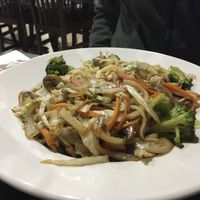 Vegetable Udon at Kanpai Sushi Bar and Fusion in Jackson