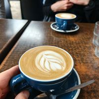  at Fat Camel Cafe in Whangarei