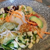 Vegane Bowl mit Gyozas at ALEX in Rostock