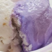 Two vegan flavors plus matcha(no thx) at Dasher & Crank in Miami