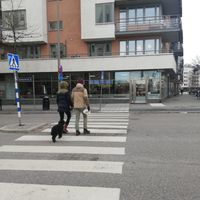 The restaurant on the other side of the street at Sjöviks Pizzeria in Stockholm