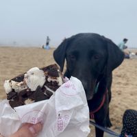   at Go Go Beets in Edinburgh