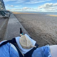   at Go Go Beets in Edinburgh