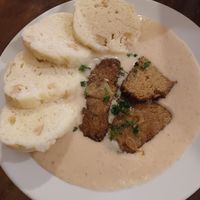 Lunch menu of the day: saitan roast in horseradish sauce with bread dumplings at Vegalite in Brno