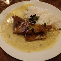  at Vegalite in Brno