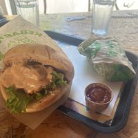 Kebab with mixed sauces  at Végéman in Strasbourg