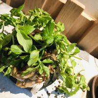 Focaccia with mushrooms at MESA Restaurant in Paris