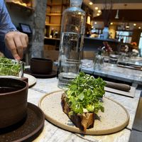   at MESA Restaurant in Paris