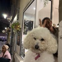   at Peacefood Cafe in Montpellier