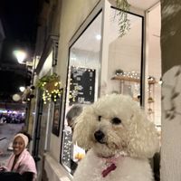   at Peacefood Cafe in Montpellier