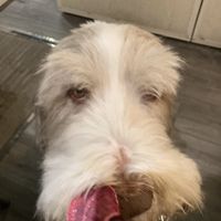   at Peacefood Cafe in Montpellier