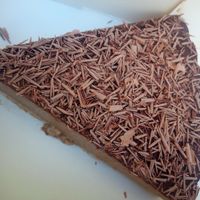 Wish to have more vegan sweets like this available in more spots at Peacefood Cafe in Montpellier