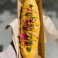 Putsch dog  at Putsch in Montreuil