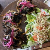  #Veganuary at Elela in Valladolid