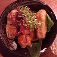  at TA Vegan House in Hamburg