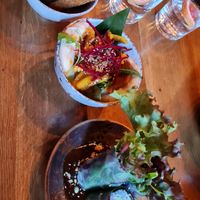  at TA Vegan House in Hamburg