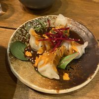 Dumplings  at TA Vegan House in Hamburg