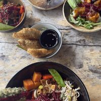   at TA Vegan House in Hamburg