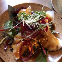 Dumplings  at TA Vegan House in Hamburg