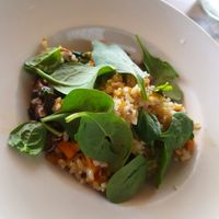 vegan risotto (not on their menu but they adjusted the recipe) at Garuma in Airlie Beach