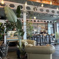   at PLSTK Café in Hook Of Holland