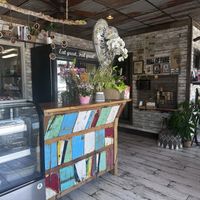   at Strive Foods in Sandy Springs