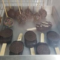 Stock available at Plantarium at The Lush Glaze in Hyderabad