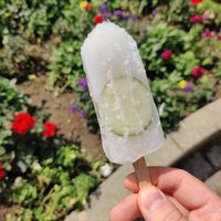 Gin Tonic Popsicle at Der Vegane Laden - Online in Jena