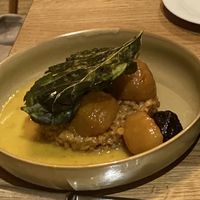 Beete mit Getreide und Kohlrabiblatt  at Flux in Hannoversch Munden