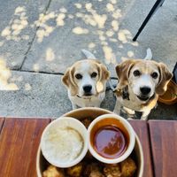 It’s a vegan win win for us.   at Ours in Caloundra