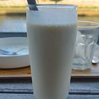  at Optimus Cafe in Osaka