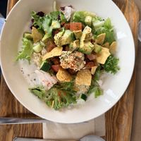   at Optimus Cafe in Osaka