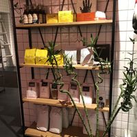 Coffee beans  at Tsiniki in Moscow