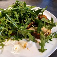 Hummus mushroom toast with ruccola at Velvet Collective in Dusseldorf