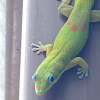 Hello! My name is Charles. What’s yours?  at Leahi Health in Koloa