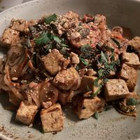 Noodles with no egg and sub tofu instead of shrimp  at Walt Disney World - Jungle Navigation Co Skipper Canteen in Lake Buena Vista