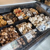   at Far West Fungi in Santa Cruz