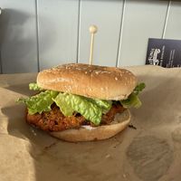   at Far West Fungi in Santa Cruz